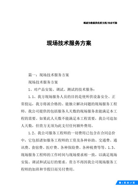 现场技术服务方案与保障措施详解